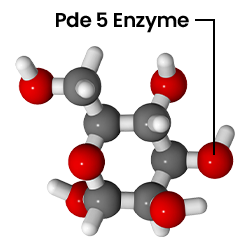 Blocking the PDE 5 Enzyme